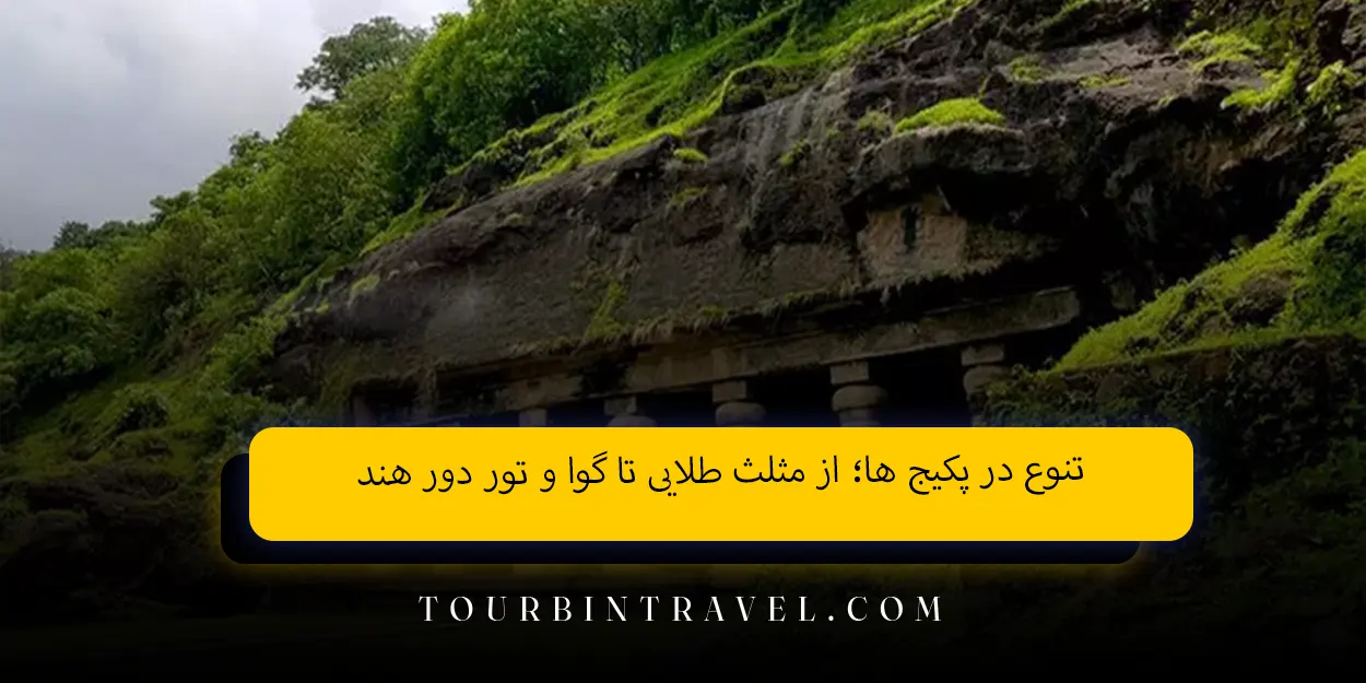تنوع در پکیج‌ ها؛ از مثلث طلایی تا گوا و تور دور هند